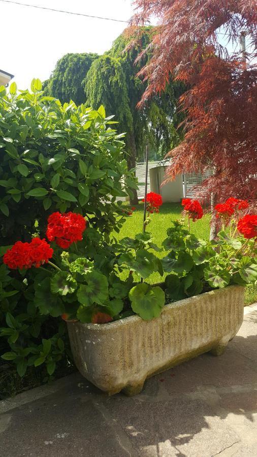 B&B "Al Colle 11" Fano Exterior photo